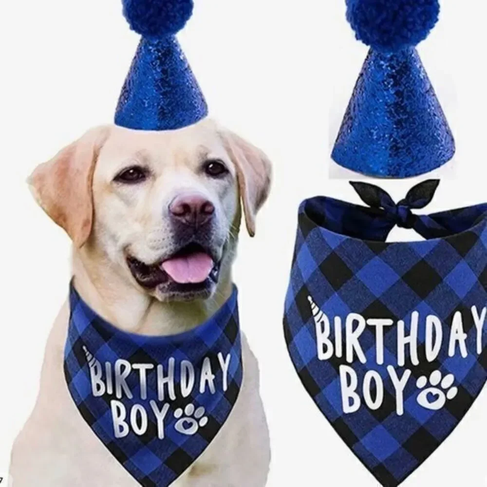 New dog birthday boy party accessories